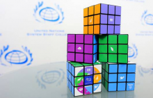 Policy Coherence for Sustainable Development