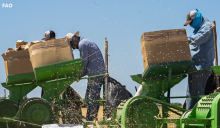  Agricultural Mechanization