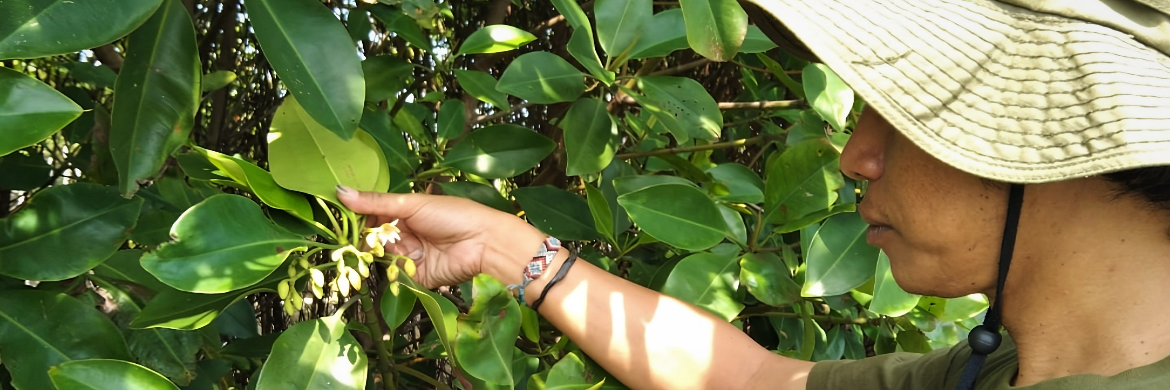 Environmental Conservation in Semarang, Indonesia_Benedicta Neysa Nathania_2