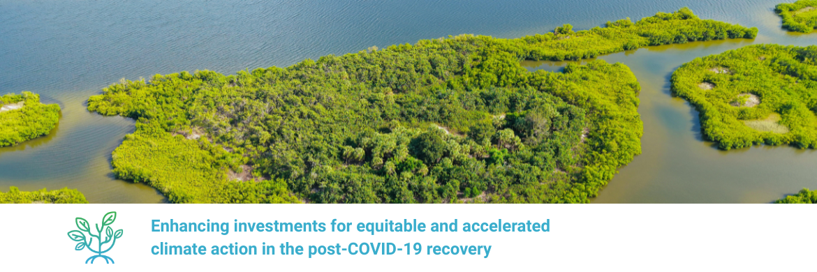 Aerial View of Coastal Ecosystems