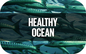 https://sdghelpdesk.unescap.org/knowledge-hub/thematic-area/healthy-oceans
