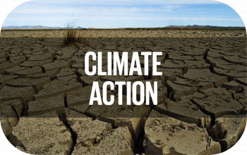 Climate Action