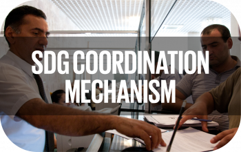 SDG Coordination Mechanism