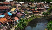 Making the connections: A teachers’ network puts ESD into practice