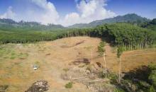 Ecosystem economics: #Educate4Sustainability leads to forest restoration