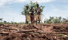 Our planet’s agricultural moonshot