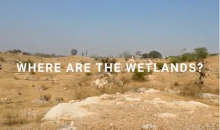Where are the Wetlands
