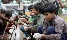 SDGs for less than a dollar per person per day