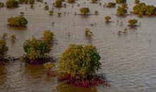 Myanmar gears up for action on climate change