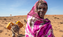 Women in Pink Dress with Donkey 