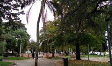 City Park
